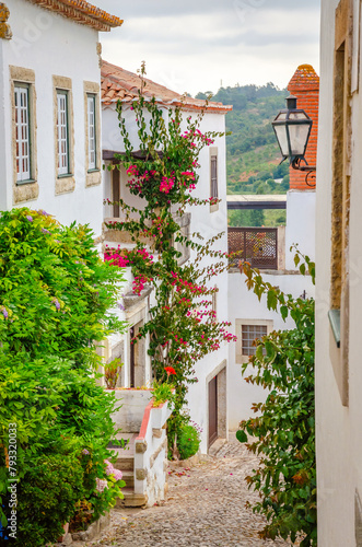Beautiful cozy street in old  town Obidos, Portugal, in summer day