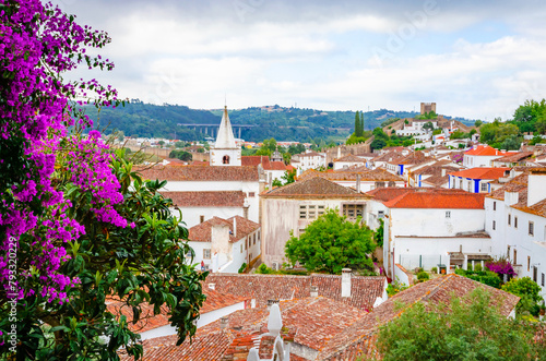 Beautiful panorama of old  town Obidos, Portugal, in summer day