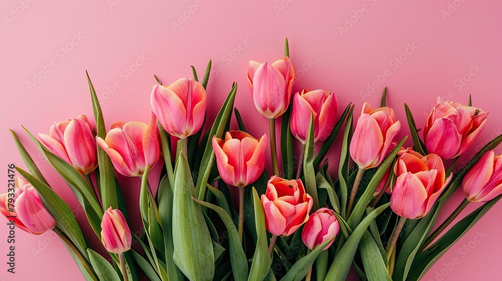 A stunning bouquet of tulips set against a pink backdrop to celebrate International Women s Day A stunning bouquet of tulips set against a pink backdrop to celebrate International Women s Day