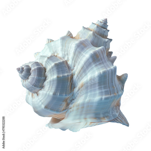 A close up shot of a seashell stands out against a soft light blue backdrop set against a transparent background
