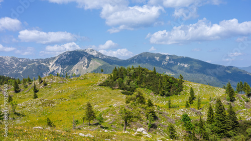 Alpine Meadows, Mountain Valley with Trees, Green Grass and Blue Sky with Clouds. Velika Planina, Slovenia