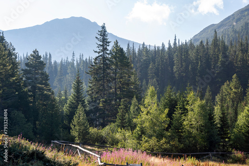 Landscape of area of Tiha Rila, Rila mountain, Bulgaria photo