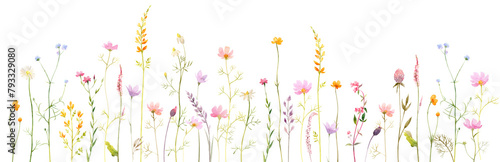 Watercolor horizontal border with wild field flowers and plants in pastel colors. Wild spring flowers border. Modern minimalist poster, greeting card, header for website
