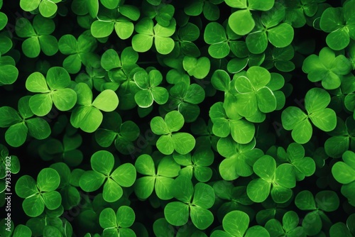 A close up of green clovers with a green background. The clovers are all the same size and are arranged in a way that they look like they are all connected photo