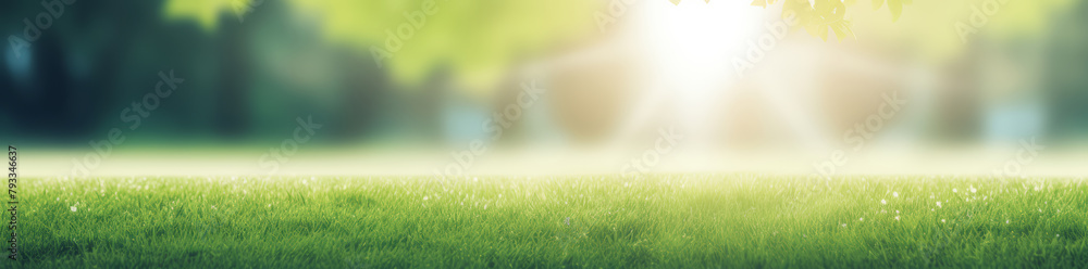 Beautiful spring summer natural landscape. Green garden or city park grass, trees and sun background, on warm sunny morning day. Colorful bright nature wallpaper banner with copyspace.