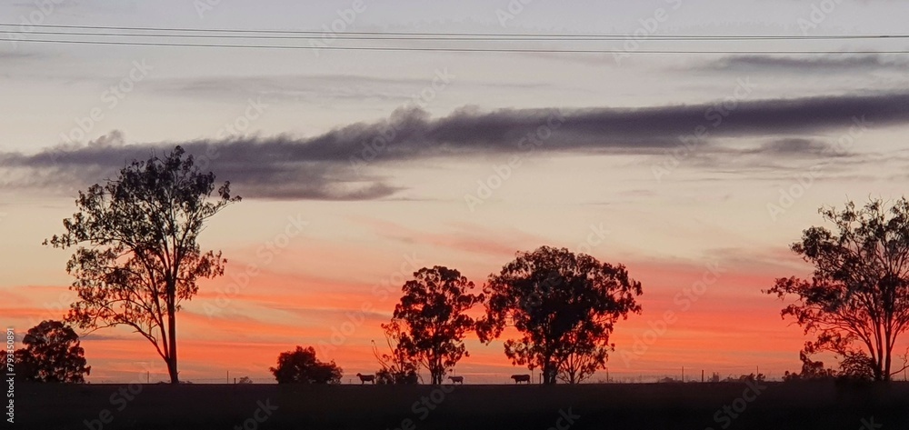 Morining, sunrise, early, Australian, sun, sky, orange, clouds, beautiful