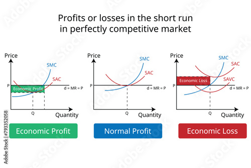 Profits or losses in the short run in perfectly competitive market graph in economics