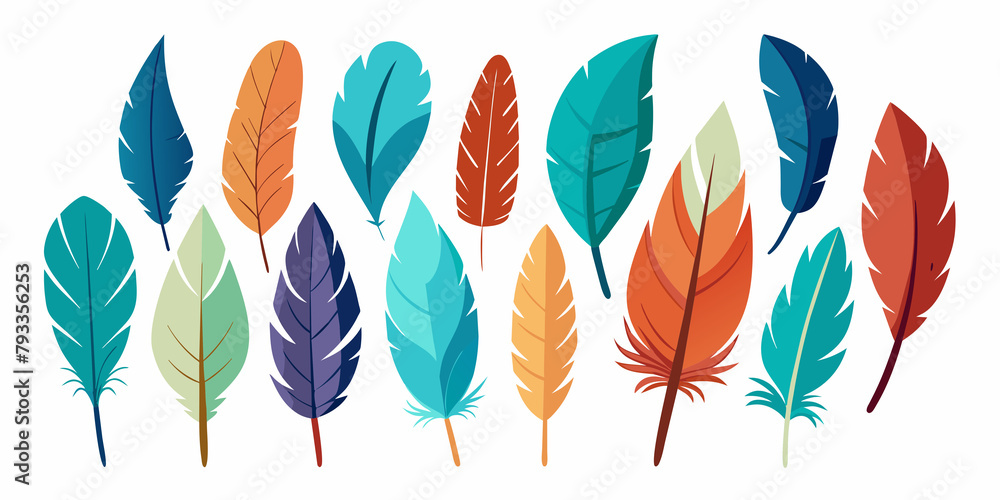 Set of feathers. Feathers set isolated on white background. Colorful feathers vector illustration.
