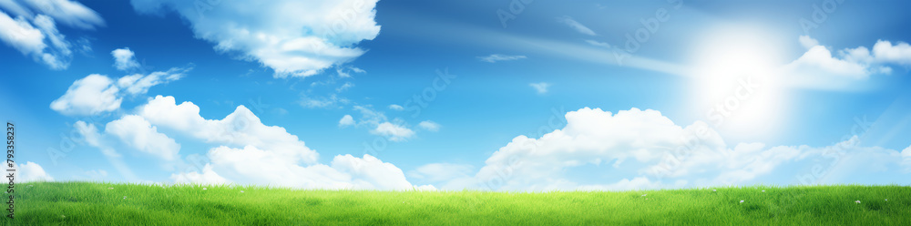 Beautiful spring summer natural landscape. Green meadow grass and flowers on blue sky background with clouds and sun on warm sunny day. Colorful bright nature panoramic banner.	