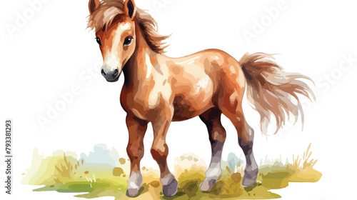 Fototapeta Naklejka Na Ścianę i Meble -  Watercolor Horse Cub Clipart 2d flat cartoon vactor