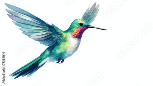 Watercolor Hummingbird 2d flat cartoon vactor illus