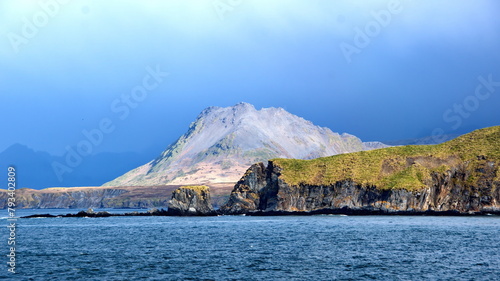 Snow covered mountain behind a lush point at Ocean Harbour, South Georgia Island