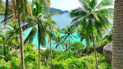 Coconut palms sway gracefully around a striking rock formation against the backdrop of crystal-clear ocean waters. Koh Tao  Surat Thani  Southern Thailand. Tropical sea background. 