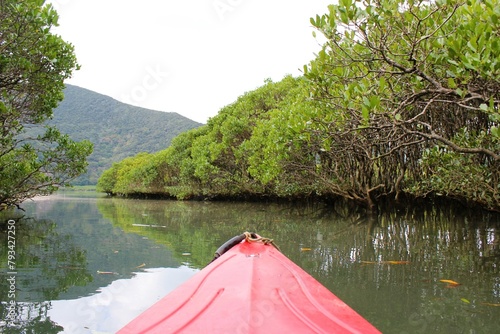 Kayaking the calm water of the mangrove forest river in Amami Oshima Island