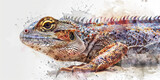 Regeneration: The Shedding Skin and Renewed Surface - Picture a lizard shedding its skin to reveal a fresh, renewed surface underneath, illustrating the concept of regeneration