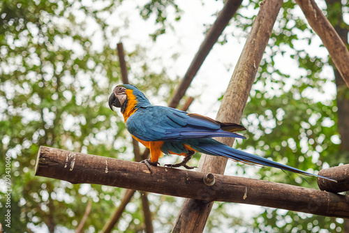 Konstfotografi Bioparque do Rio de Janeiro