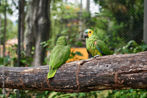 Bioparque do Rio de Janeiro