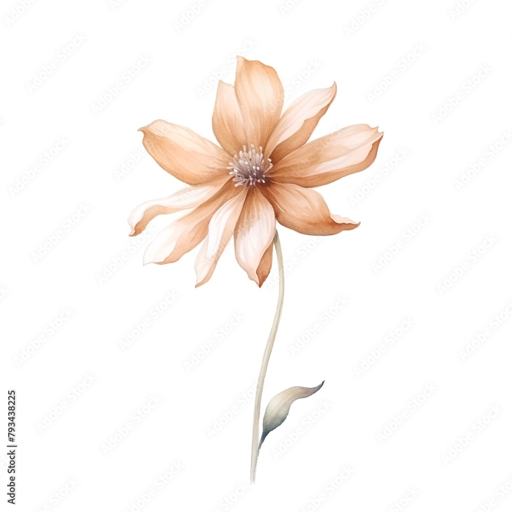 Beautiful watercolor image of an orange flower on a white background