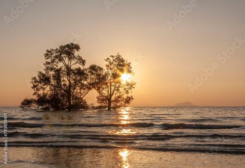 Sunrise over mangrove trees, Phang Nga Bay, Phuket, Thailand