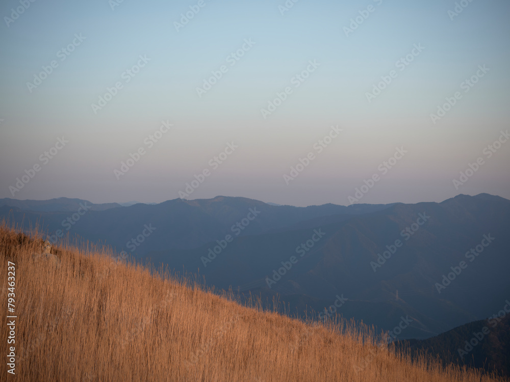 Fototapeta premium 薄く色づく空とススキ