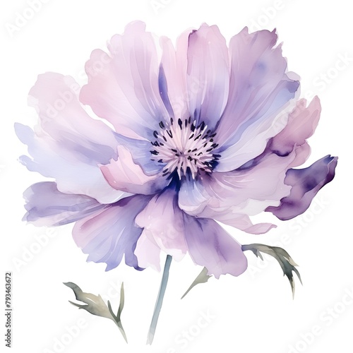 Beautiful vector card with watercolor peony flowers. Illustration