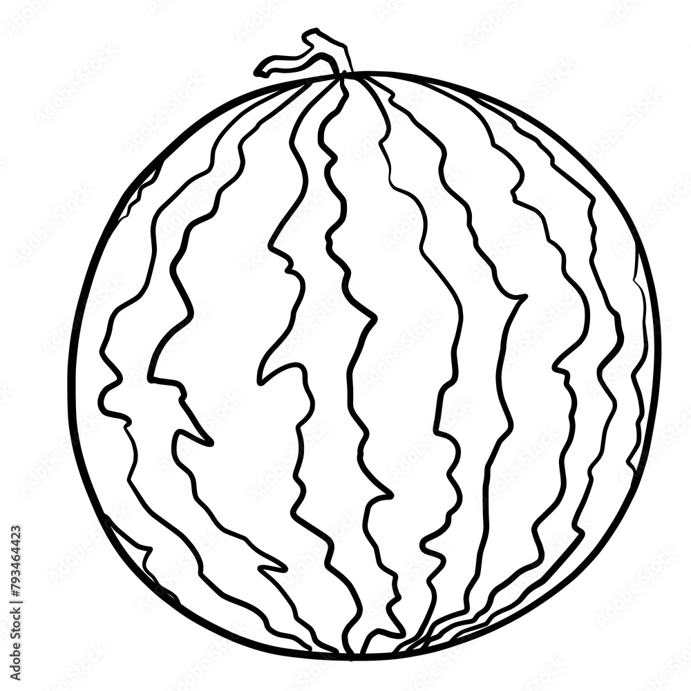 Simple and realistic watermelon line drawing Simple and realistic watermelon line drawing