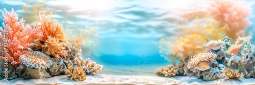 Underwater nature. Coral reef in blue sea and ocean. Fascinated by the beauty of the underwater world