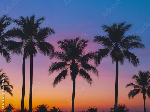palm trees against blue sky during sun set. © KamrunNahar
