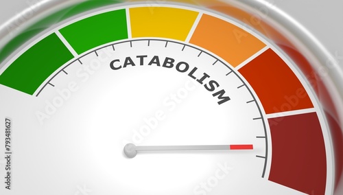 Catabolism low level on measure scale. Instrument scale with arrow. Colorful infographic gauge element. Catabolism breaks down large molecules with ATP as energy into smaller units. 3D render