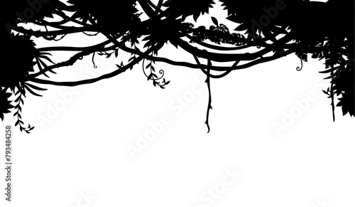 Tropical jungle liana branch vines silhouette background. Black vector upper border or frame with rainforest thicket, Amazon or African flora with tropic leaves, plants, green trees foliage spinney