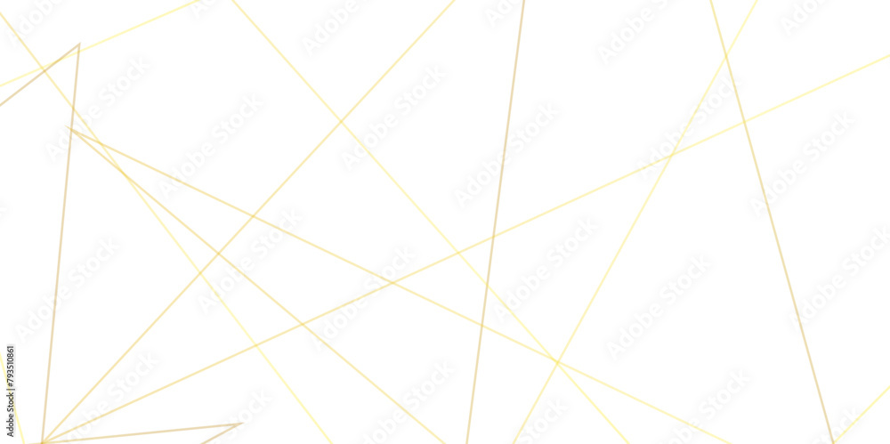 Abstract lines in golden lines and white background design .Digital future technology concept. white minimal round lines abstract futuristic tech background. geometric and vector design Abstract lines in golden lines and white background design .Digital future technology concept. white minimal round lines abstract futuristic tech background. geometric and vector design