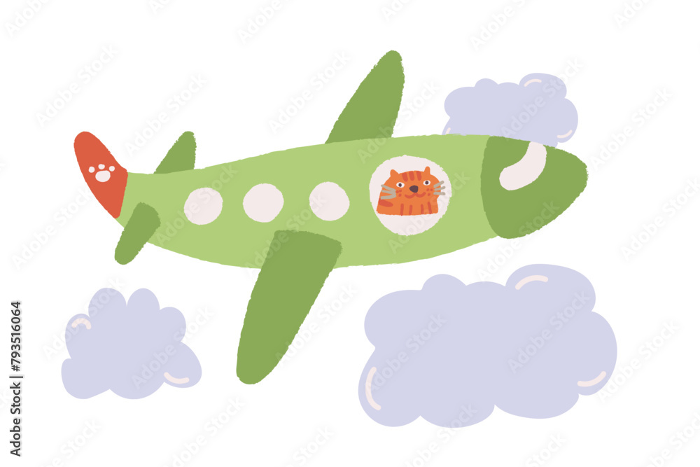 Cat traveling by plane Cat traveling by plane