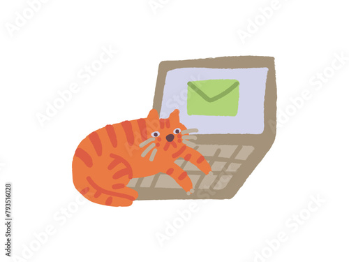 Cat sent message