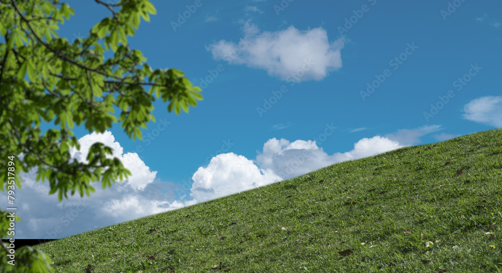 春・夏 煽りで見上げた丘・土手の野原の坂道 さわやかな晴天の青空と雲の背景壁紙 アウトドア・夏休み・祝日・行楽・観光・旅行・ゴールデンウィーク・ウォーキング・散歩のイメージ素材 春・夏 煽りで見上げた丘・土手の野原の坂道 さわやかな晴天の青空と雲の背景壁紙 アウトドア・夏休み・祝日・行楽・観光・旅行・ゴールデンウィーク・ウォーキング・散歩のイメージ素材