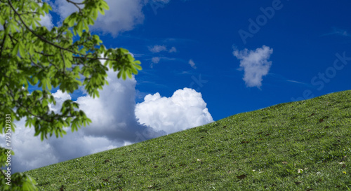 春・夏　煽りで見上げた丘・土手の野原の坂道　さわやかな晴天の青空と雲の背景壁紙 　アウトドア・夏休み・祝日・行楽・観光・旅行・ゴールデンウィーク・ウォーキング・散歩のイメージ素材