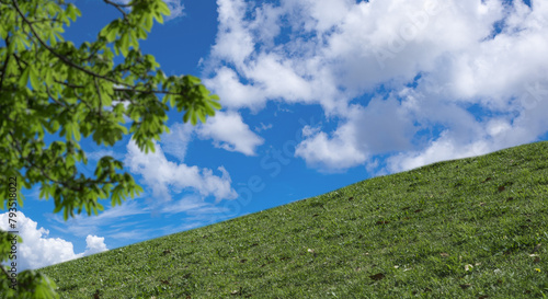 春・夏　煽りで見上げた丘・土手の野原の坂道　さわやかな晴天の青空と雲の背景壁紙 　アウトドア・夏休み・祝日・行楽・観光・旅行・ゴールデンウィーク・ウォーキング・散歩のイメージ素材