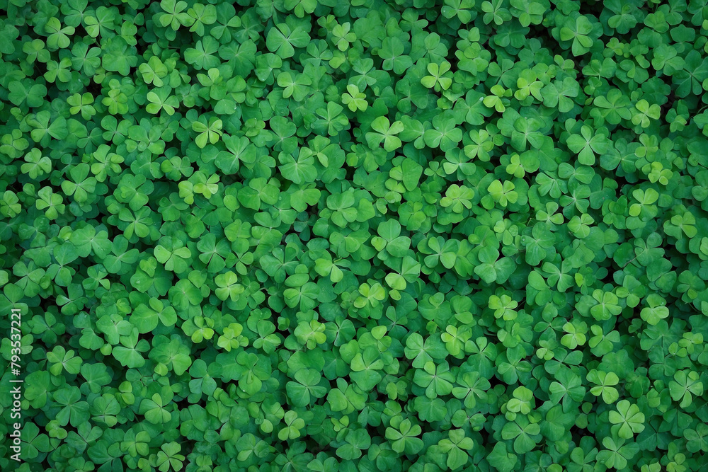 Top view of clover leaves, vibrant green clover leaves background pattern. Top view of clover leaves, vibrant green clover leaves background pattern.