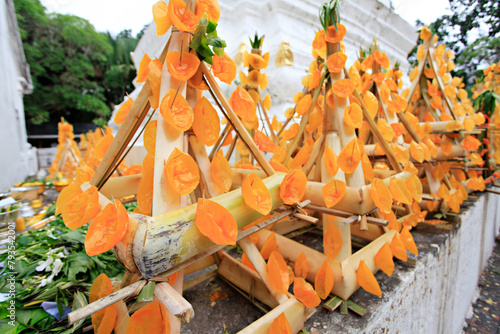 Sacred ritual offering phueng trees (bee trees) and candle trees to pay homage to Phra That Si Song Rak, Dan Sai, Loei Province, Thailand 