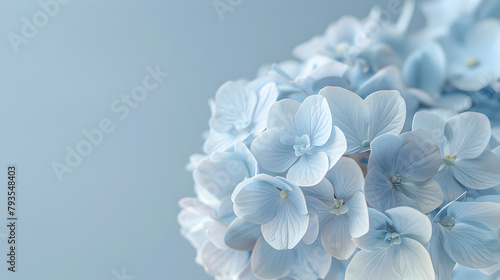 A close up of a bunch of blue flowers. The flowers are arranged in a way that they are almost touching each other. The blue color of the flowers gives a sense of calmness and serenity