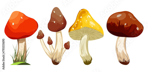 Set of raw forest edible and poisonous mushrooms. Assortment of poster and banner designs for gourmets, diets, cooking. Wild mushrooms. Bright vector isolated icons.
