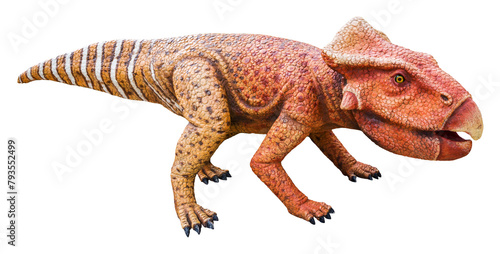 Leptoceratops is a herbivore genus of primitive Ceratopsia or Ceratopia dinosaurs from the late Cretaceous Period