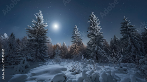 Ice covered forest under a starry winter night sky with the moon shining on the snow covered trees