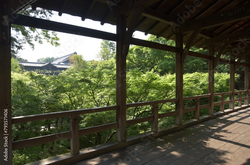 新緑の東福寺 臥雲橋から通天橋を望む 京都市東山区