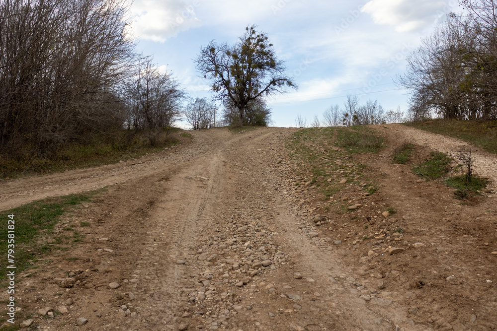 Naklejka premium dirt road leading to the forest, autumn condition in nature