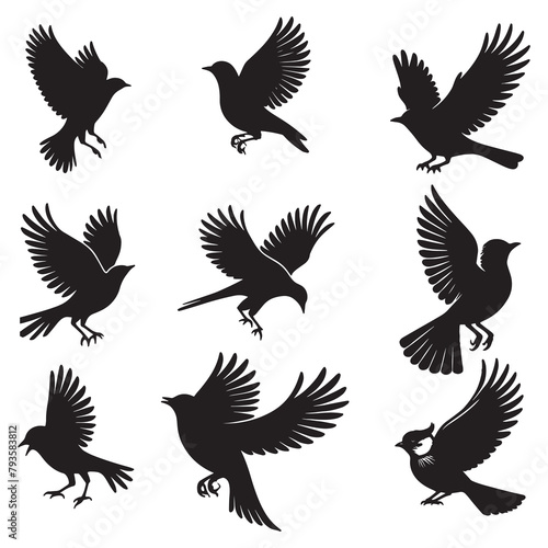 Bird s black silhouettes set. bird isolated on white background