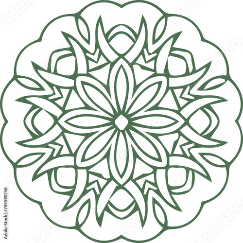 Beautiful mandala art, vector mandala design