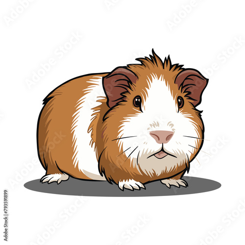 vector illustration of cute and adorable guinea pig