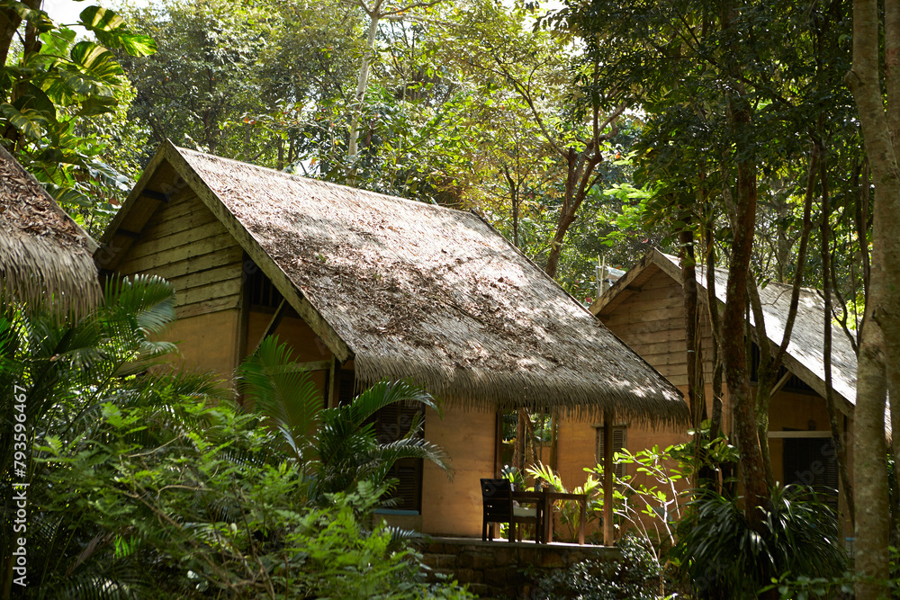 wooden house in the forest wooden house in the forest