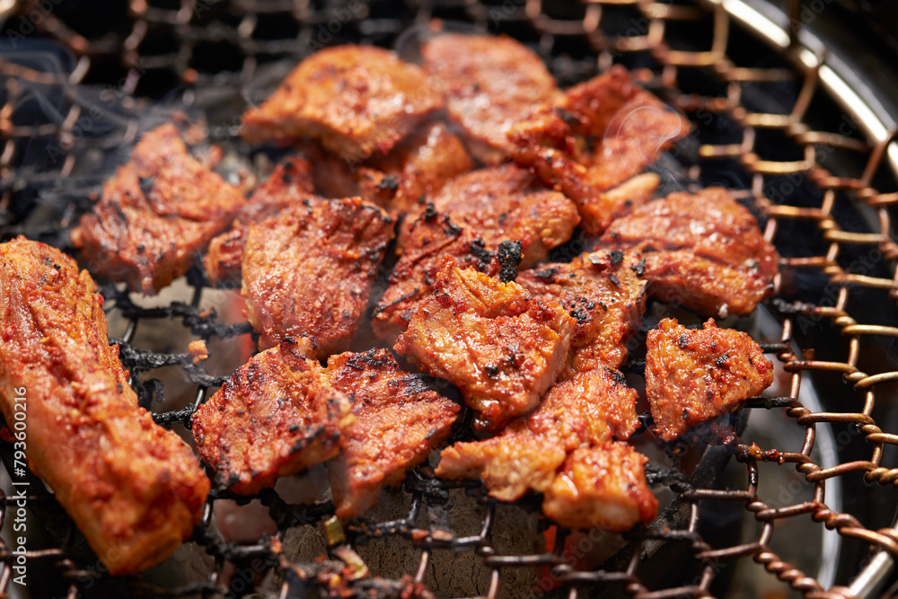 grilled meat on the grill	