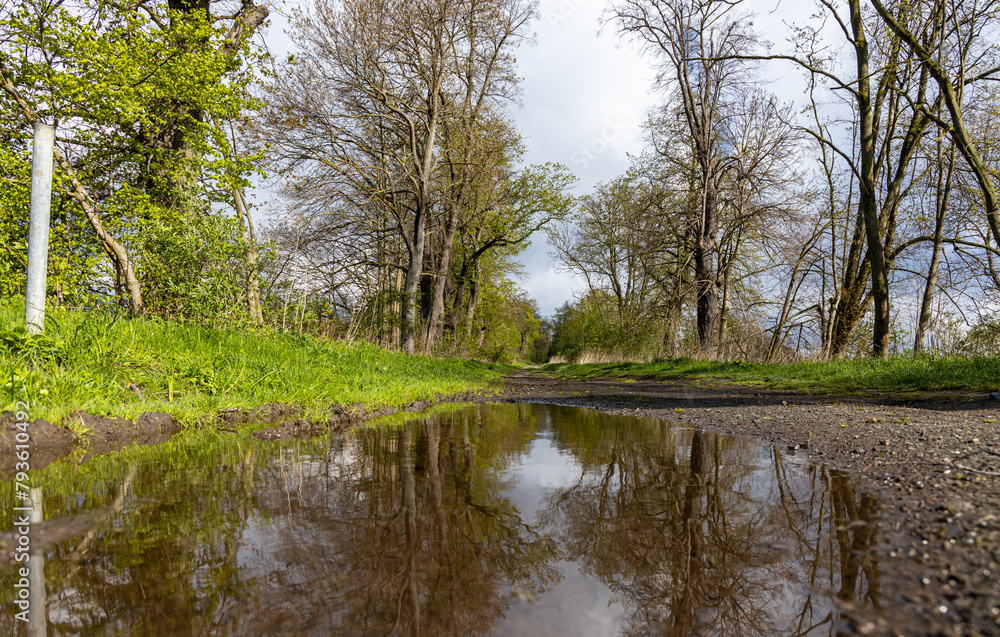 Feldweg mit großer Pfütze im Wald Feldweg mit großer Pfütze im Wald